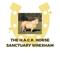 The H.A.C.K. Horse Sanctuary