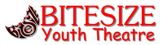 Bitesize youth theatre